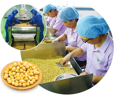 宏光-科學(xué)質(zhì)量管理體系，確保產(chǎn)品品質(zhì)